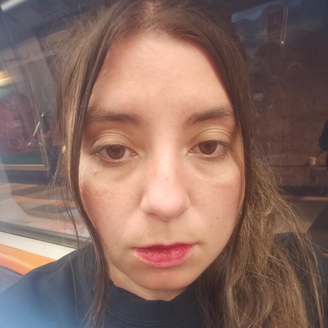 Babysitter in La Florida: Camila