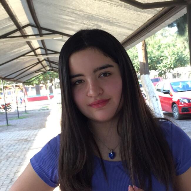 Niñera en Ciudad de Santiago del Estero: Julieta