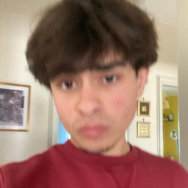 Babysitter in Brescia: Francesco