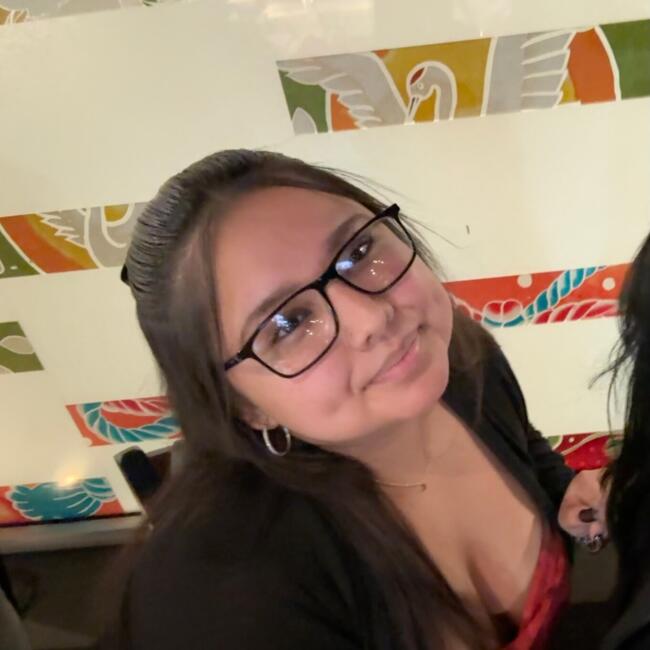 Babysitter in Midlothian (Texas): Arali
