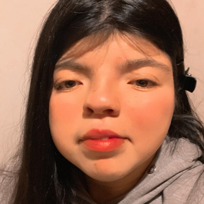 Babysitter in Temuco: Angela 