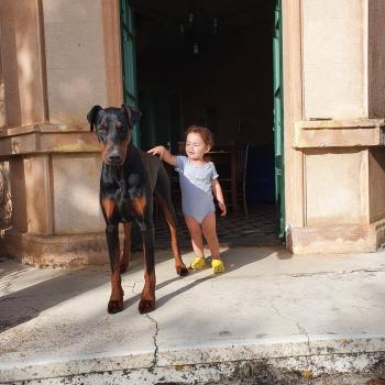 Babysitting Jobs in Modena: babysitting job Alessandra