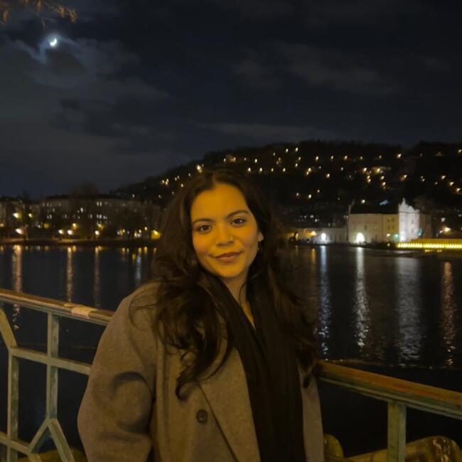 Babysitter in Prague: Ashima