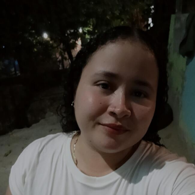 Babysitter in Panama City: Yorjanis