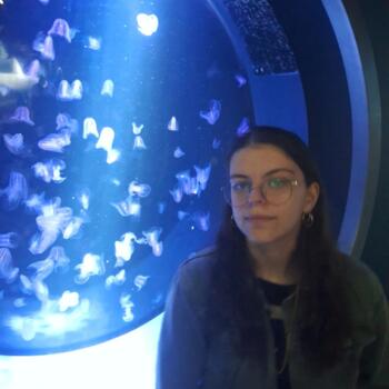 Babysitter in Tours: Sarah