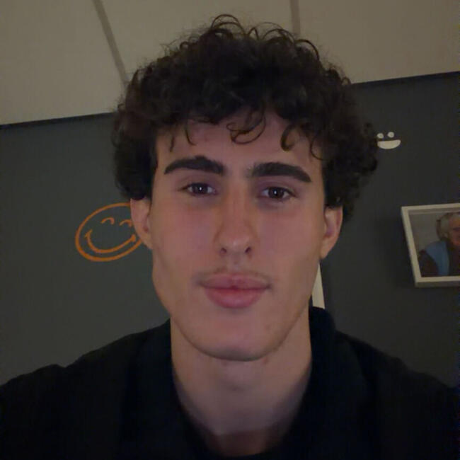 Babysitter in Francheville: Anatole