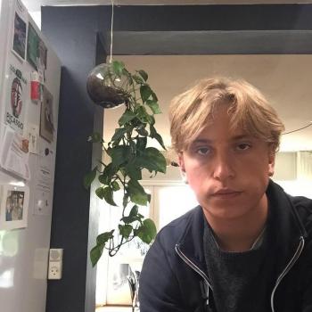 Babysitter Virum: Adam