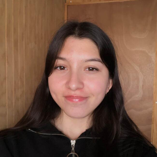 Babysitter in Port Montt: Karla Sandoval Medina