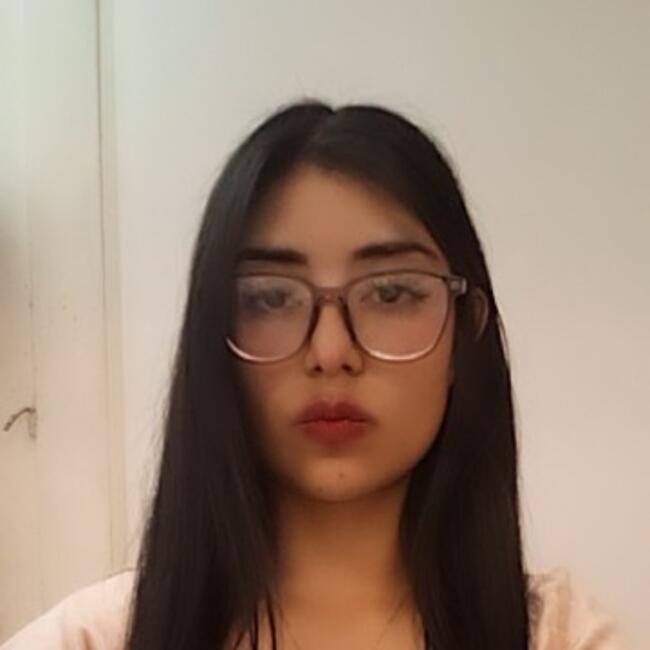 Niñera en Monterrey: Karina Vianney