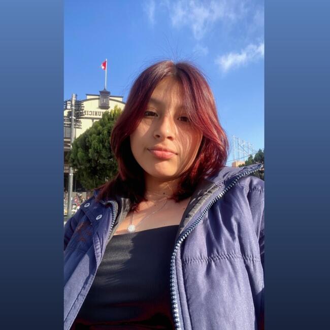 Babysitter in Antofagasta: Miriam