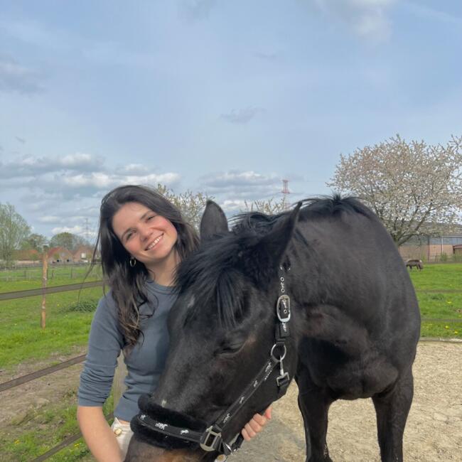 Babysitter in Deinze: Alice