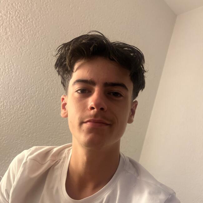 Babysitter in Andernos-les-Bains: Gaspard
