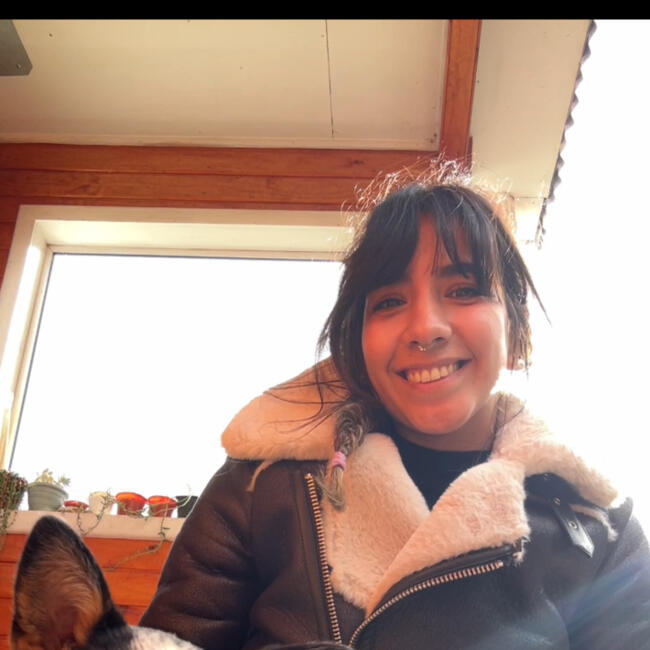 Babysitting job in Castro: Arlette
