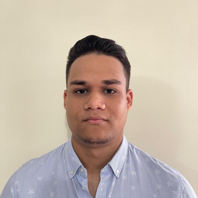 Trabajo para niñera en Panamá: Francisco