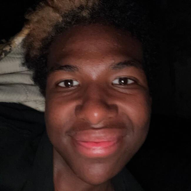 Babysitter in Fort Wayne: Zarian