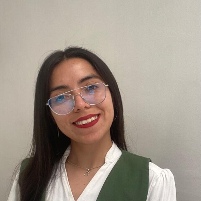 Niñera en Villa Alegre de Paine: Constanza