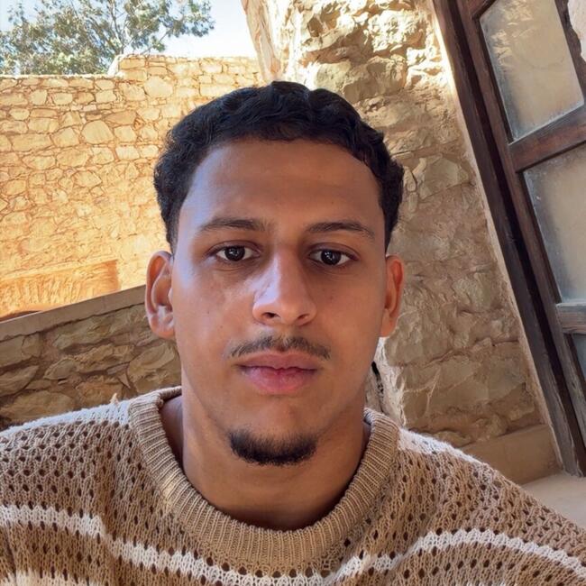 Babysitter in Ludwigshafen am Rhein: Mohamed