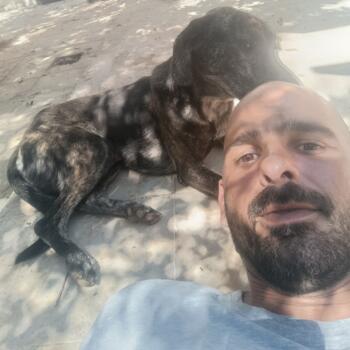 Babysitting job in Rethymno: babysitting job Fivos