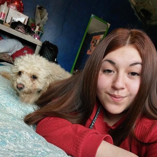 Babysitter in Temuco: Barbara