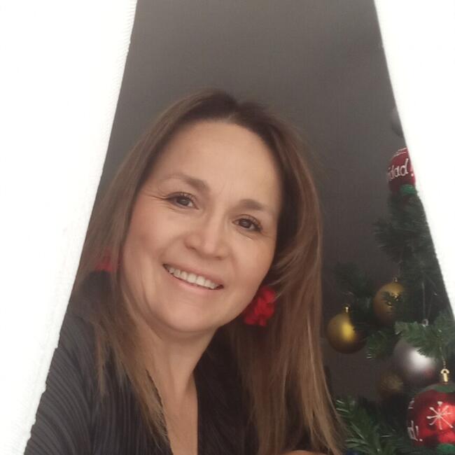 Babysitter in Santiago: Loreto
