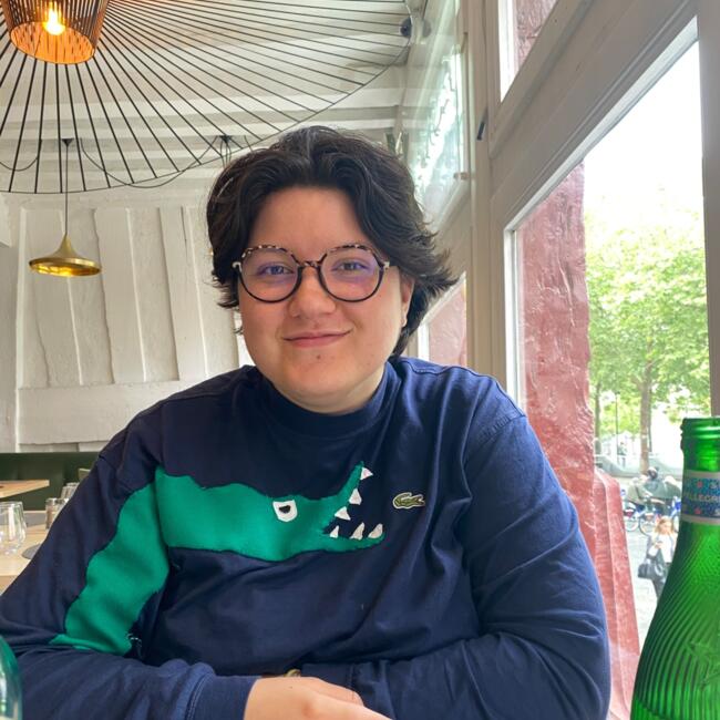 Babysitter in Rennes: Timea
