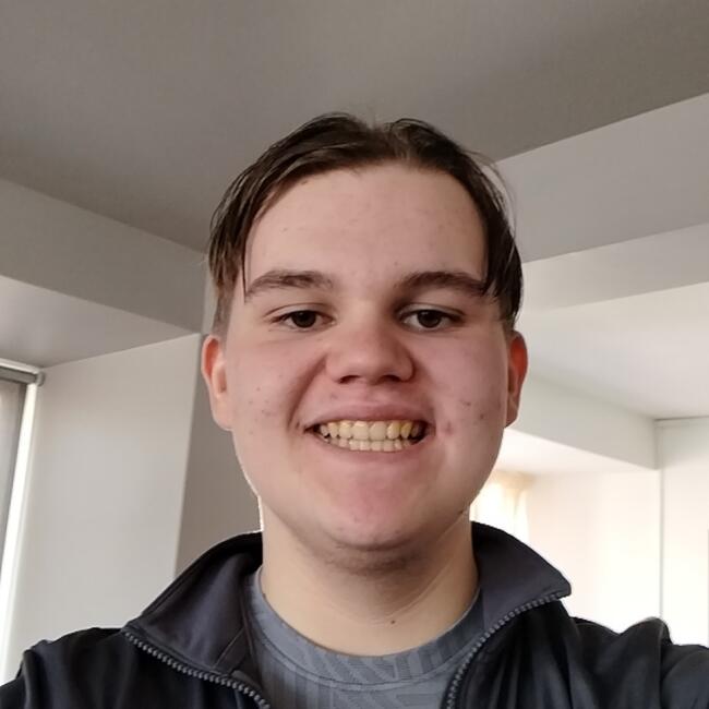 Babysitter in Jönköping: Aron