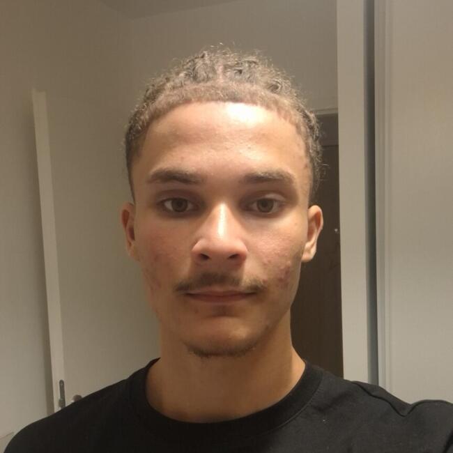 Babysitter in Châtellerault: Esteban