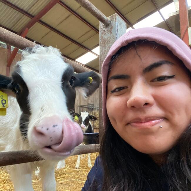 Niñera en Osorno: Constanza