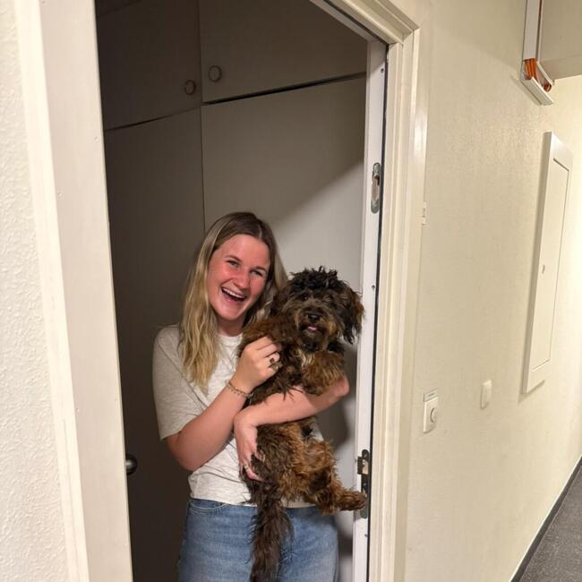 Babysitter in Antwerpen: Sophie