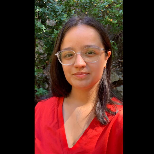 Babysitter in Concepción: Karina