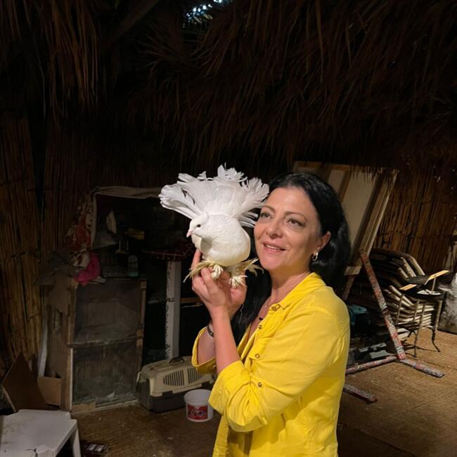 Babysitter in Constanța: Cornelia