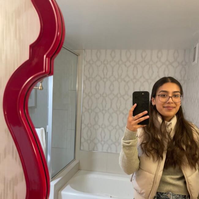 Babysitter in Addison (Illinois): Daniela
