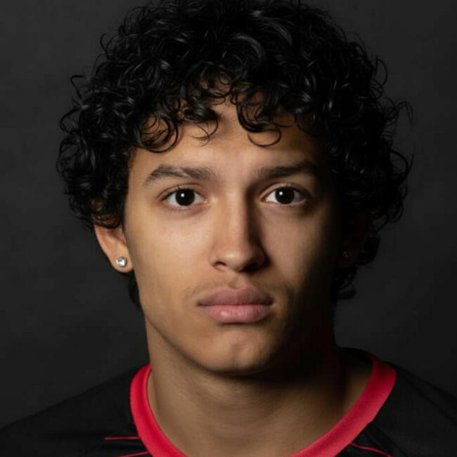 Baby-sitter in Zurich: Alejandro Mendoza