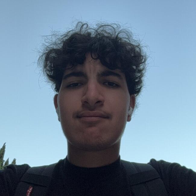 Babysitter in Villeneuve-d'Ascq: Fouad