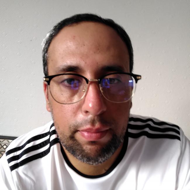 Babysitter in Illzach: Fouad