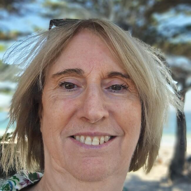 Babysitting job in Paris: Armelle