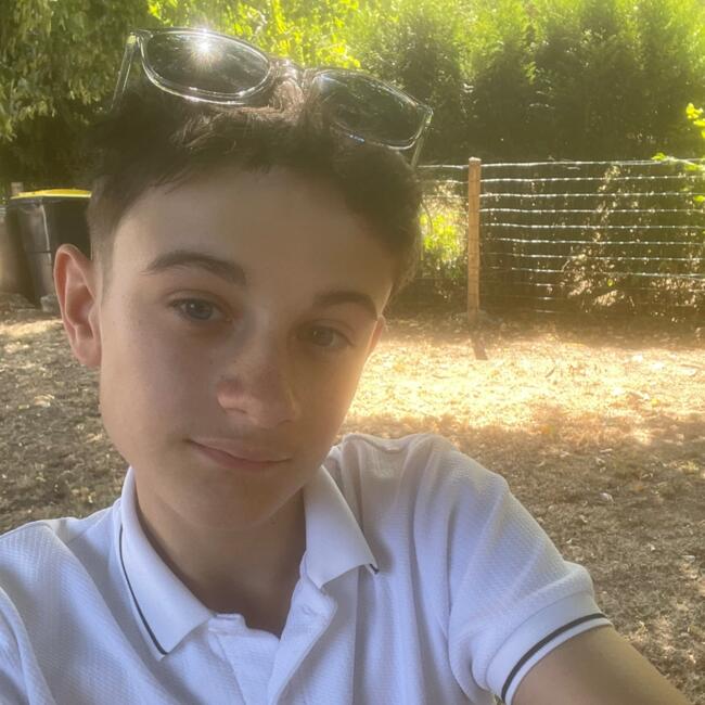 Babysitter in Verneuil-sur-Vienne: Noé