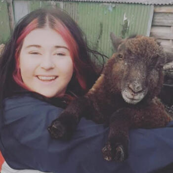 Babysitter in Castlebar: Ava