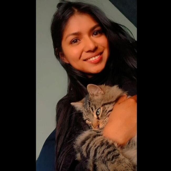 Babysitter in Ovalle: Yassel