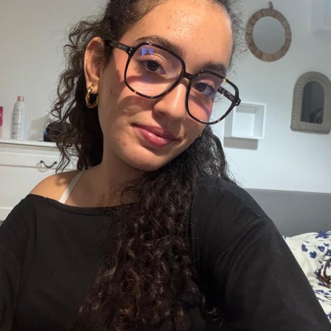 Babysitter in Toulouse: Dassine