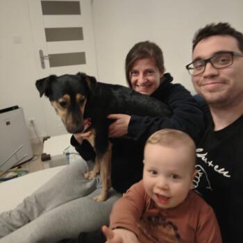 Babysitting job in Warsaw: babysitting job Maria