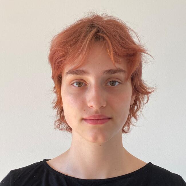 Opiekunka do dziecka w Warszawa: Ayden