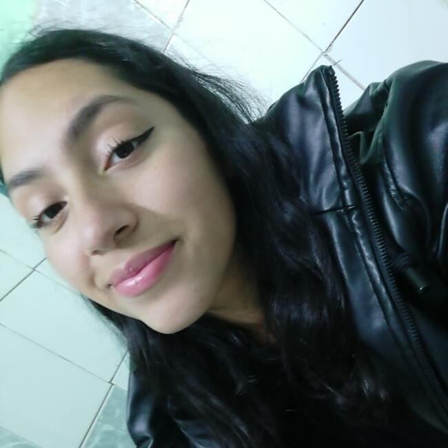 Babysitter in Port Montt: Evelin oyarzo 