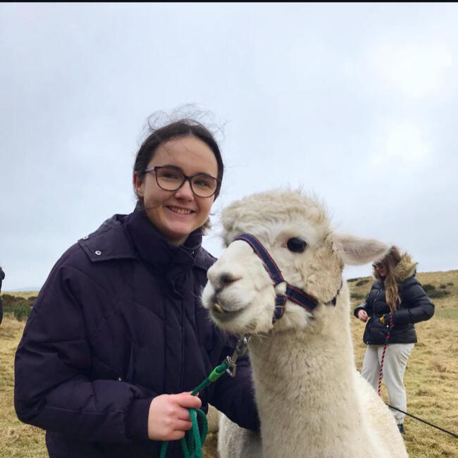 Babysitter in Mount Maunganui: Abbie