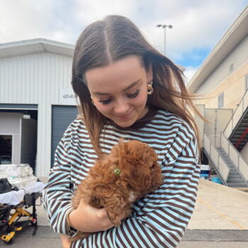 Babysitter in Newcastle: Evie