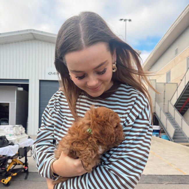 Babysitter in Newcastle: Evie