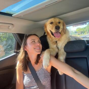 Babysitter in Newcastle: Daisy