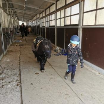 Lavoro per babysitter Como: lavoro per babysitter Aurora