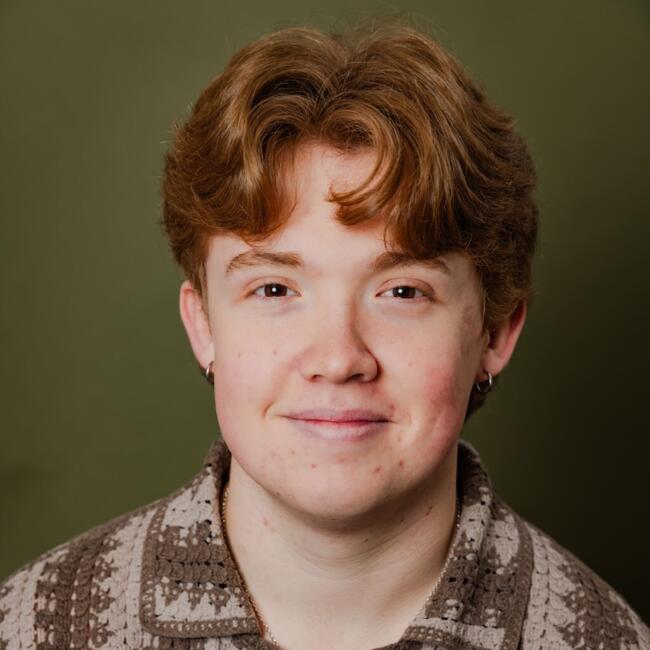 Babysitter in Irvine (California): Henry