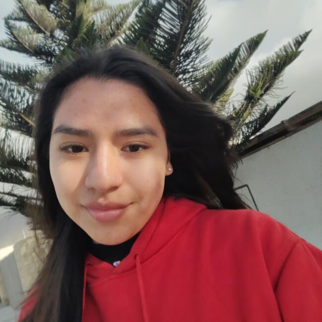 Niñera en Antofagasta: Sarela